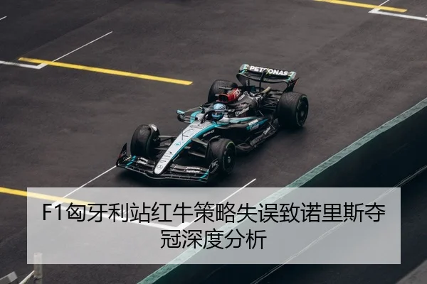 xiong-ya-li-zhan-hong-niu-ce-lve-shi-wu-zhi-nuo-li-si-duo-guan-shen-du-fen-xi-3-960.jpg