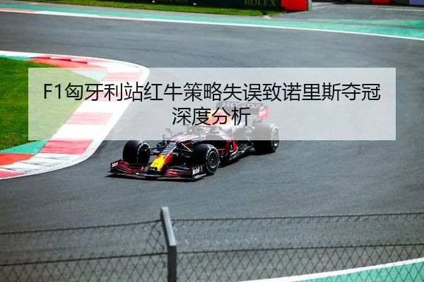 F1匈牙利站红牛策略失误致诺里斯夺冠深度分析